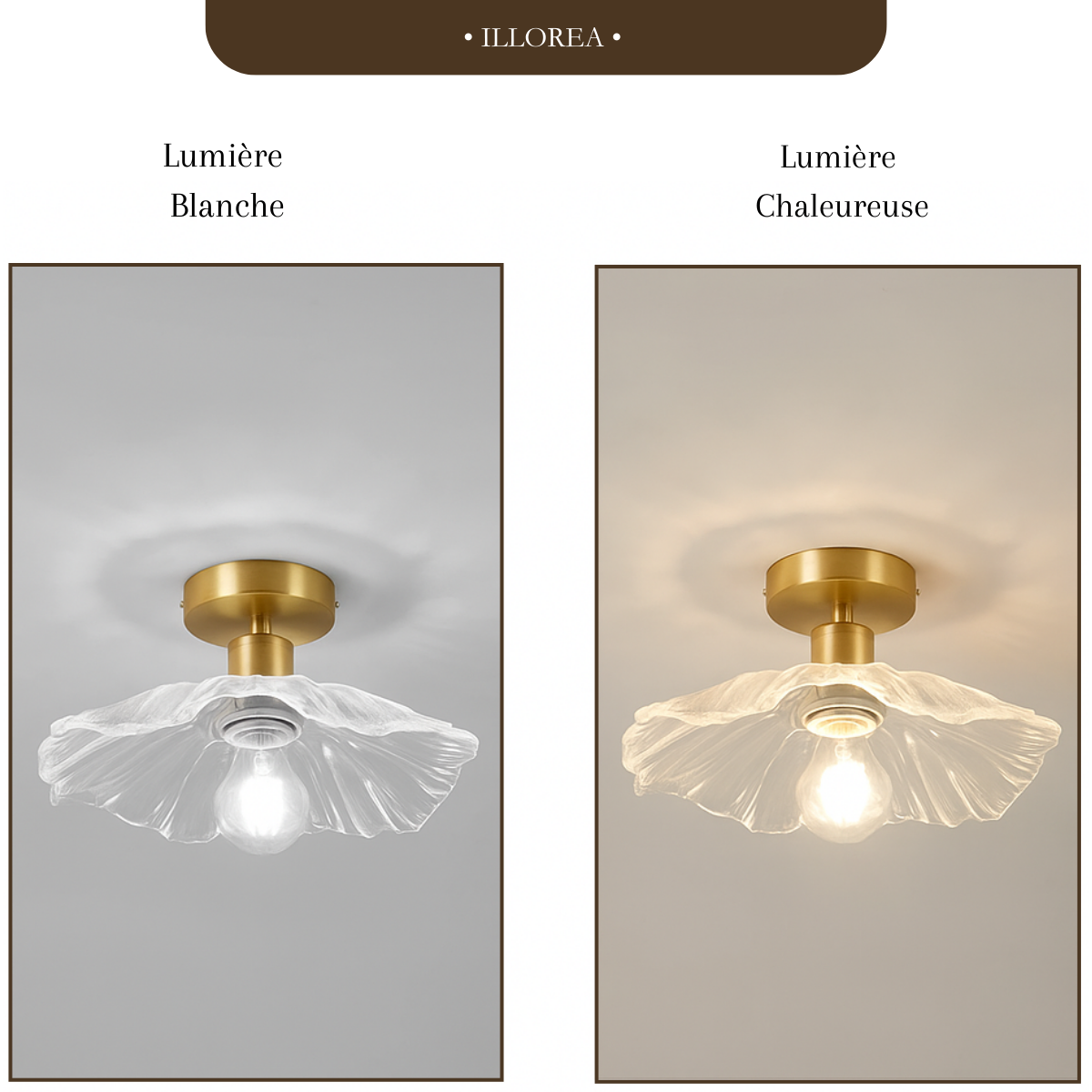 Plafonnier fleur - Harmonie